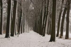 171210-PK-sneeuwval in Heeswijk- 9b 